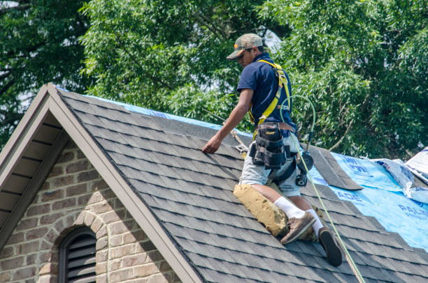 Quick and Trustworthy Emergency Roof Repair Services in Pepeekeo, HI